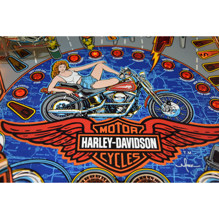 Flipper Harley Davidson
