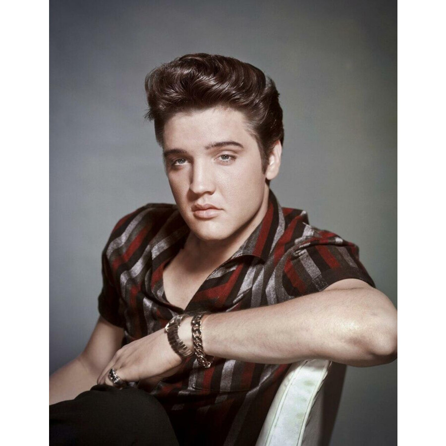 Blechschild Elvis-Portrait